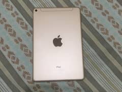 iPad mini 5 0