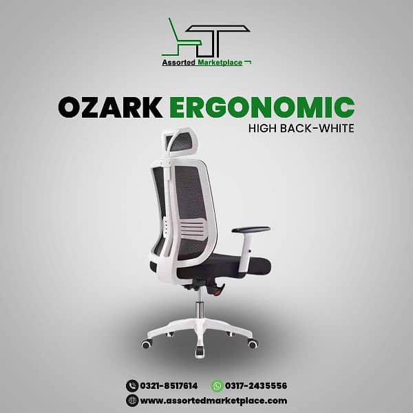 High Back Executive Chair - Ergonomic Chair - Manager Chair 1