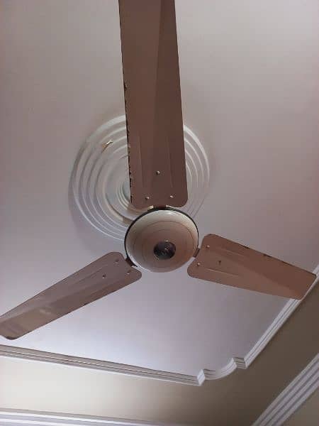 Ceiling Fan 3