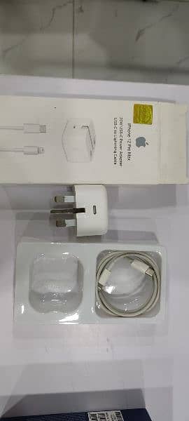 Iphone 12 Pro Max charger 1