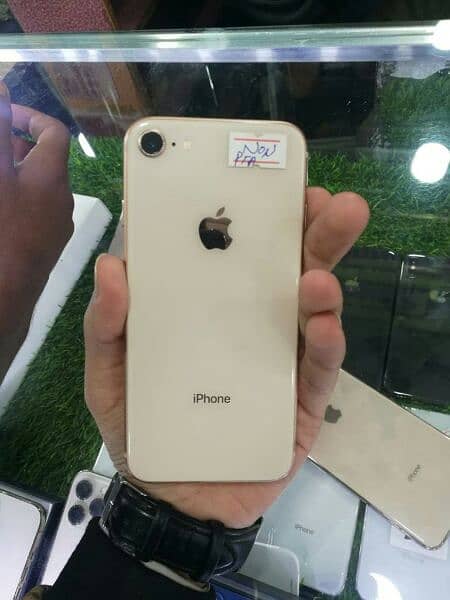 iPhone 8 (Non pta) (64) (Rose gold Colour) 0