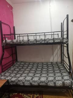 iron bunker bed