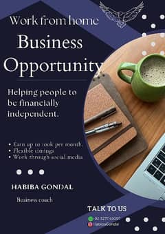 business opportunity