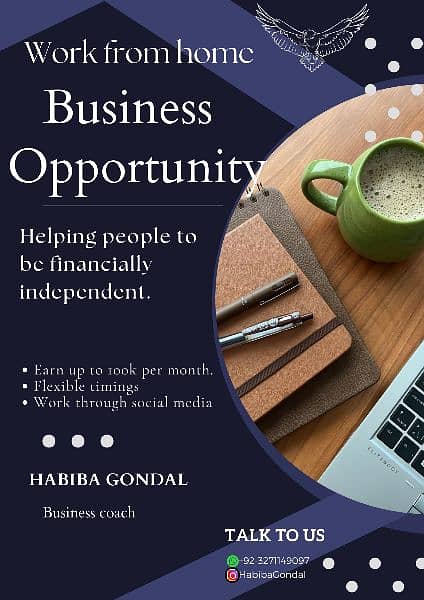 business opportunity 0