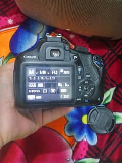 canon 1200d with 12_55mm lens
