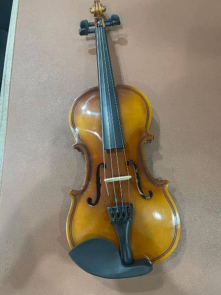 A beautiful Violin made of Glass plastic  has very Good sound Quality 2