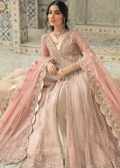 Full Embroidery Net Gown