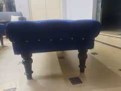 Blue colour puffer set