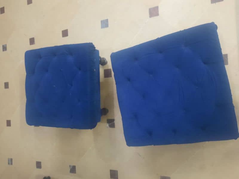 Blue colour puffer set 1