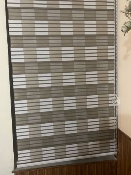 Zebra blinds for sale 3