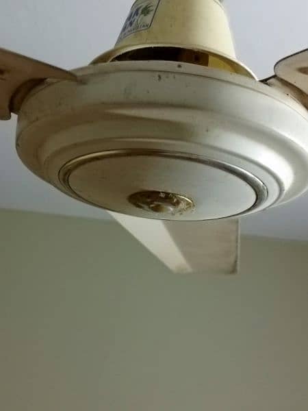 2 ceiling fans for sale 0