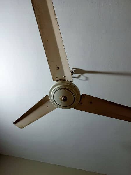 2 ceiling fans for sale 3