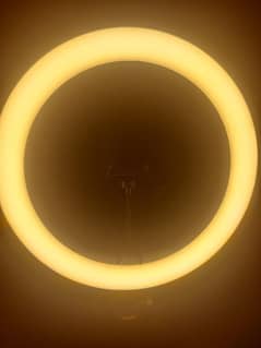 Godex LR150 Ring Light