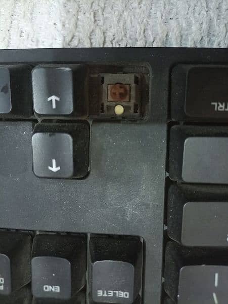 Logitech G610 Brown Switches Mechanical Keyboard with White Backlight. 2