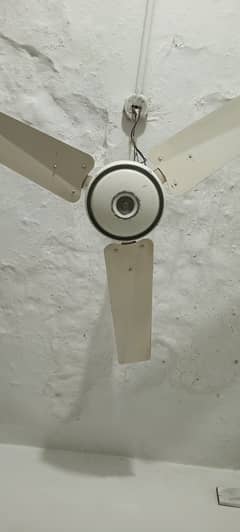 Two ceiling fans younas & pak fan