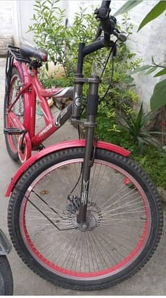 Typhoon bicycle for sale in good condition