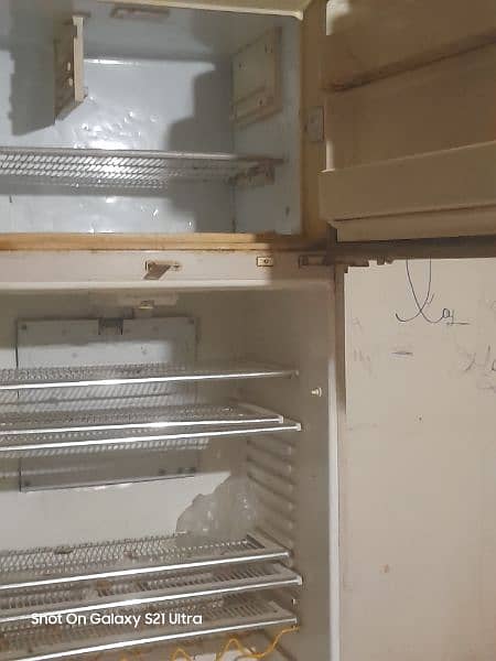 Dawlence Refrigerator 1