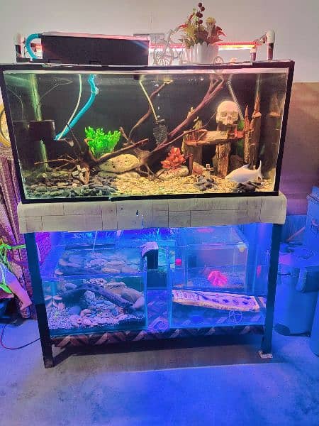 Aquarium Urgent Sale /Fish Tank/Fish Homs/Equarum Complete 1