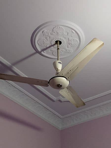 ceiling fans 1