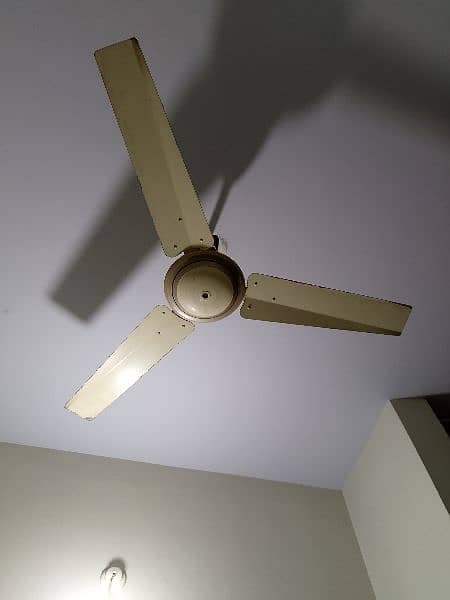 ceiling fans 2