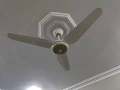 Pak Fan AC/DC low power consumption fan 0