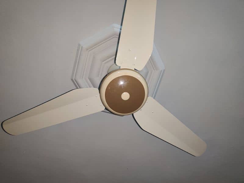 Pak Fan AC/DC low power consumption fan 1