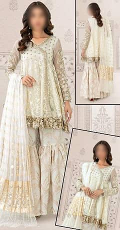 fancy dresss with heavy embroidery