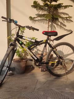 bicycle morganusa