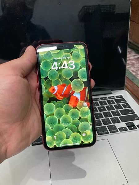 iPhone 11 128 gb approved 6
