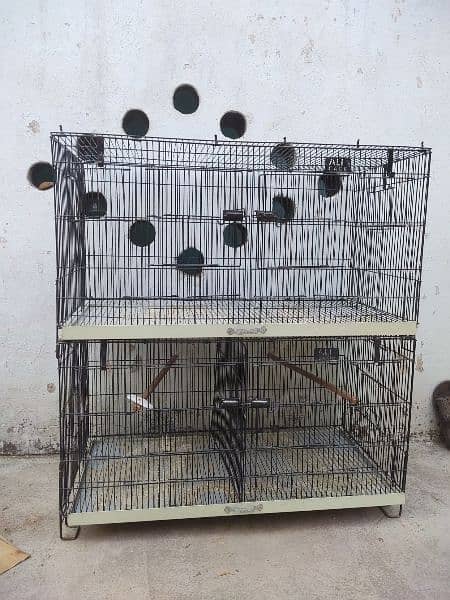 lucky pigeon laka breeder with cage read description 3