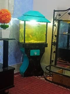 Fish Aquarium full set