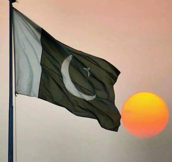 Pakistan Flag 4X6 FEET 1000Rs 4