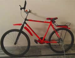 Phoenix bicycle *26