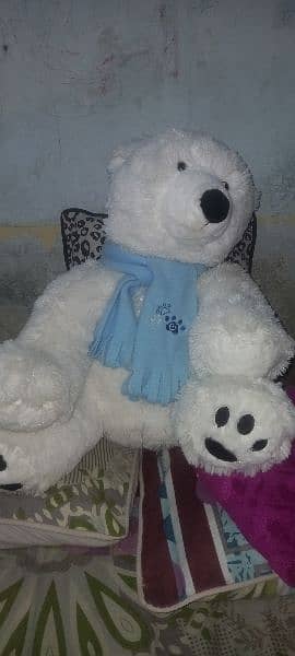 Imported Teddy Bear Made in China 5