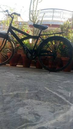 bicycle company Sohrab colour black 0