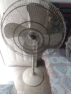 Royal stand fan. in good condition