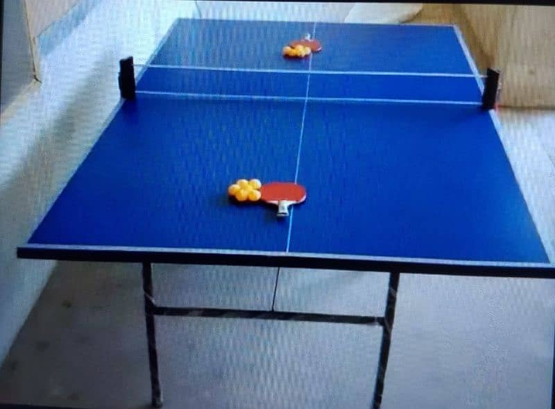 Table Tennis table 8