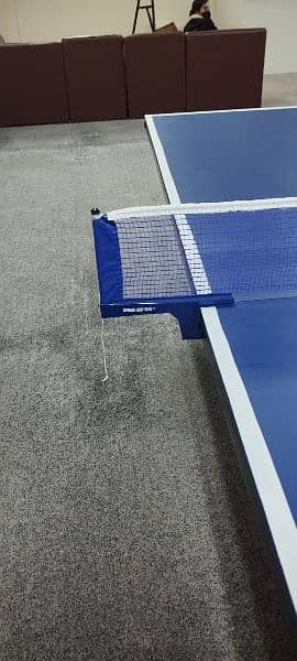 Table Tennis table 7