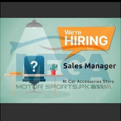 Sales Executive At Car Accessories Store