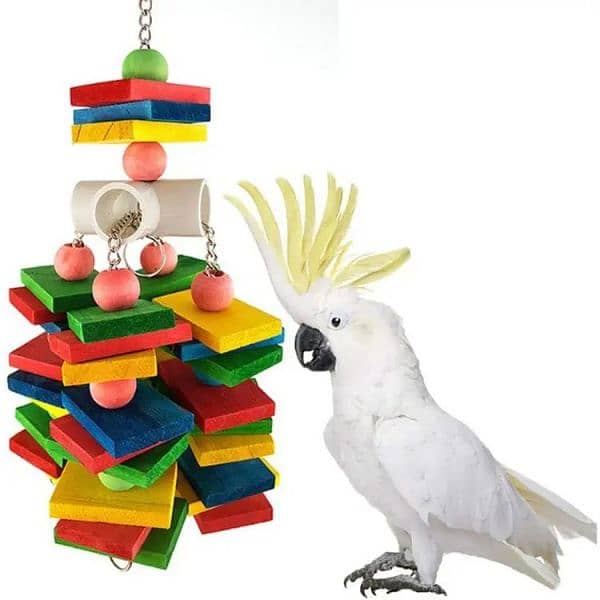 Parrot toys beautiful swings perches natural wooden and Iron stands 1