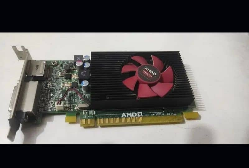 2 GB AMD Radeon Graphics card 1