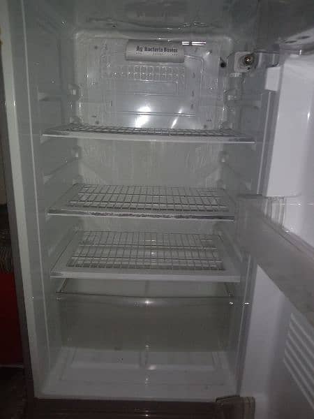 Pell Full Size fridge 3