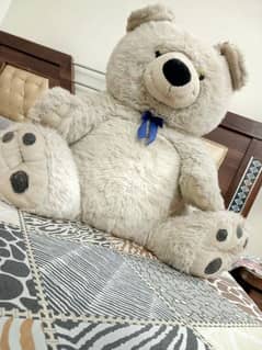 Big white Teddy bear