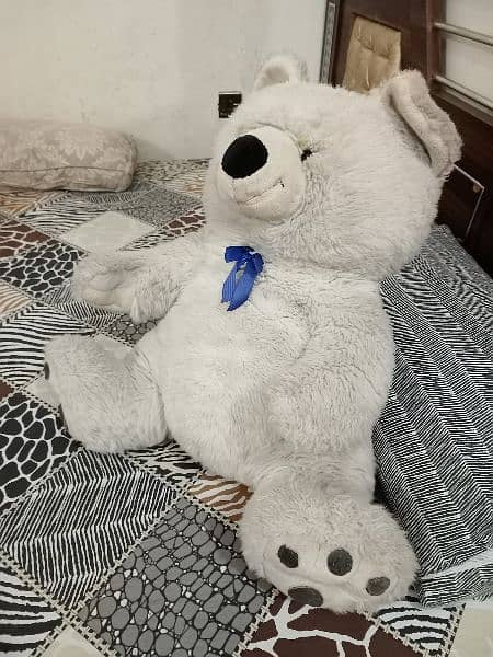 Big white Teddy bear 1
