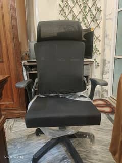 Exactive Office Chair