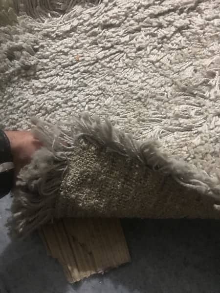 carpet with long fur 2