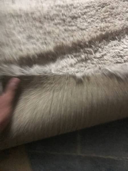 carpet with long fur 5