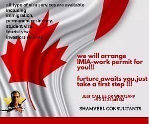 immigration,PR,work permits,tours and all type of visa's services 6