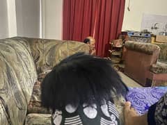 Wig for sale