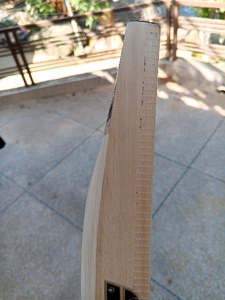 mids t20 export quality pure English willow hard ball cricket bat 1